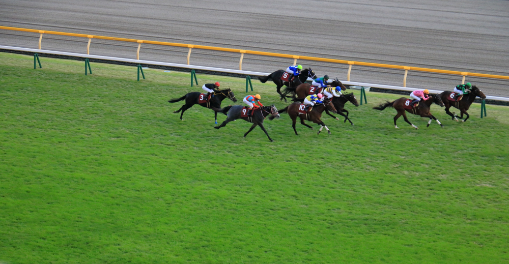 【徹底検証】競馬の予想を積み重ねるとどうなるか